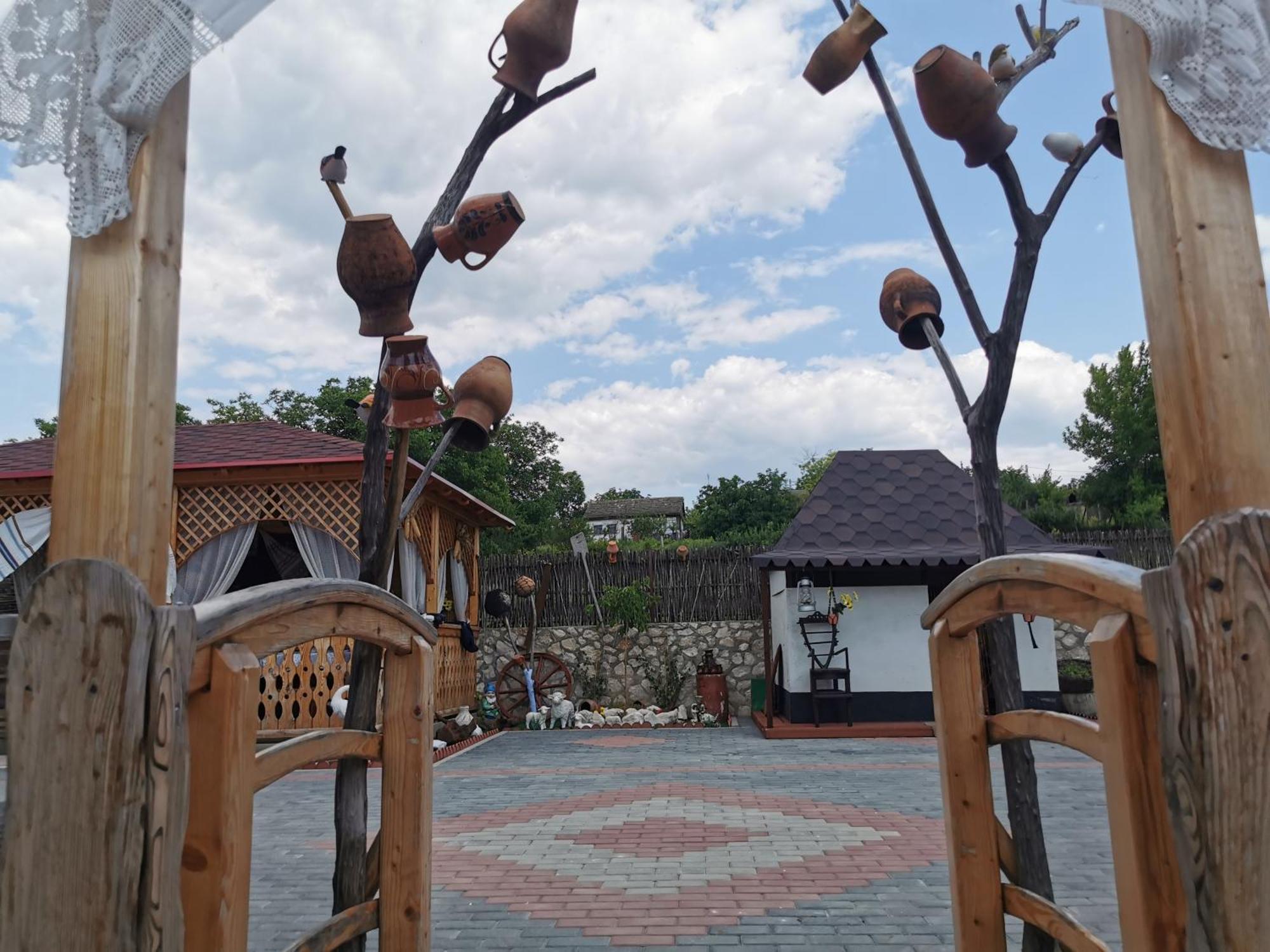 Bed and Breakfast La Madalina Selemet Екстер'єр фото