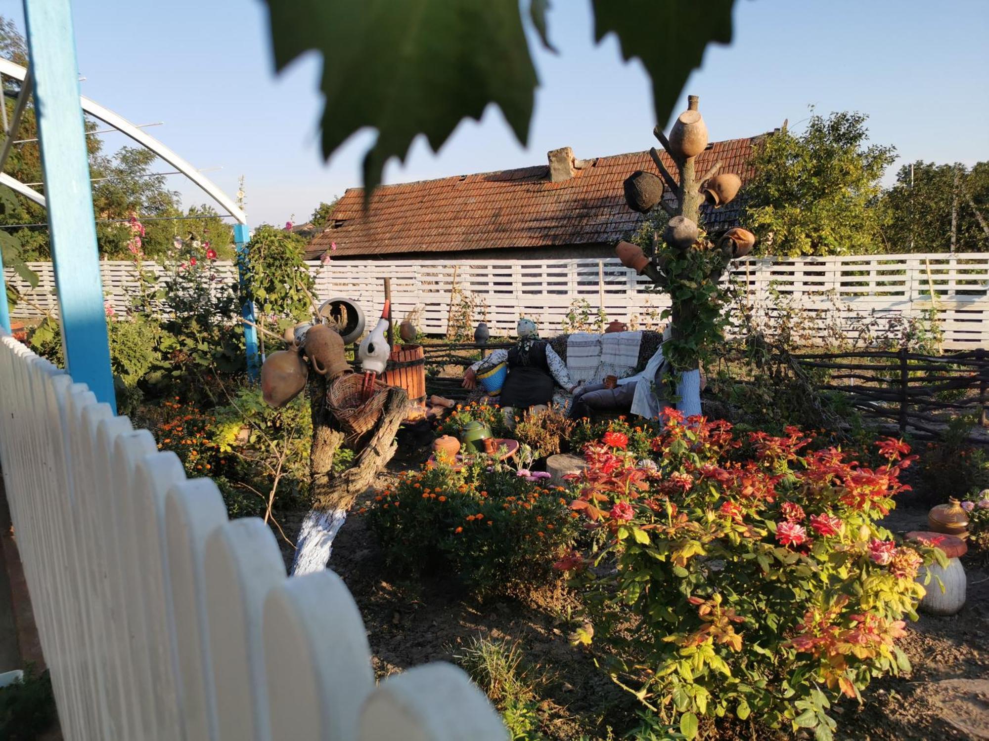 Bed and Breakfast La Madalina Selemet Екстер'єр фото