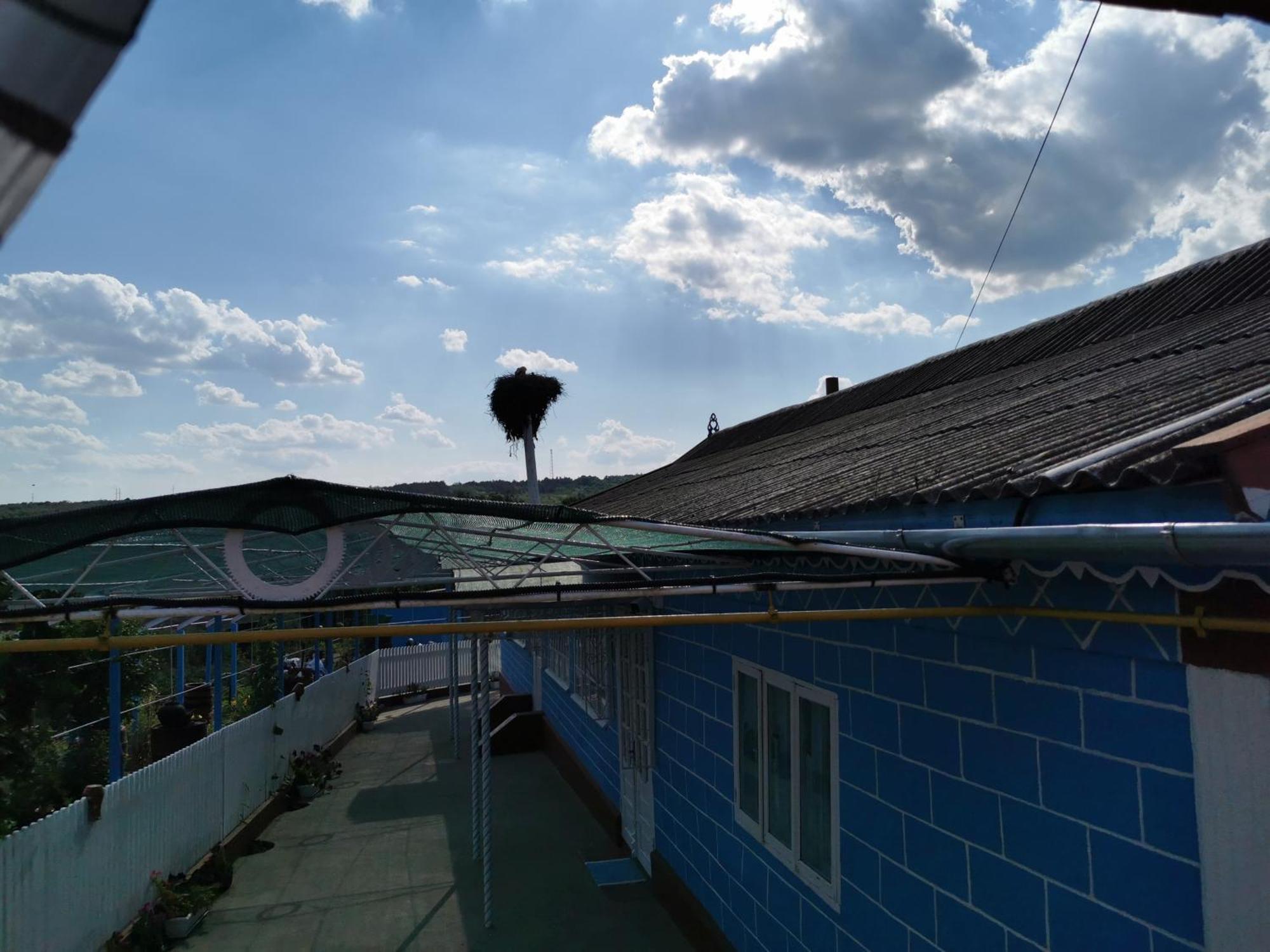 Bed and Breakfast La Madalina Selemet Екстер'єр фото