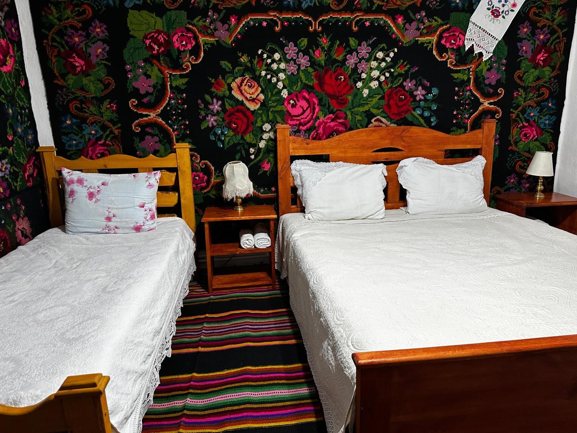 Bed and Breakfast La Madalina Selemet Екстер'єр фото